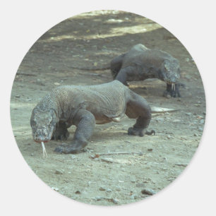 Etiqueta do dragão de Komodo