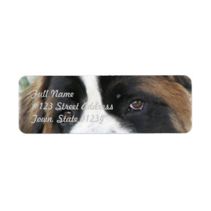 Etiqueta do enviamento de St Bernard
