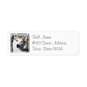 Etiqueta do enviamento do cão do rouco Siberian