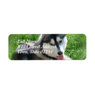 Etiqueta do enviamento do cão do rouco Siberian