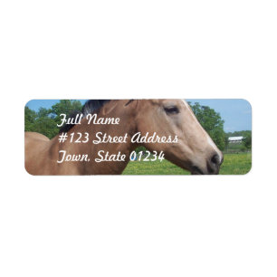 Etiqueta do enviamento do mustang do Buckskin