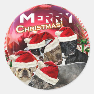 Etiqueta do Feliz Natal (edição do cão)