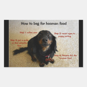 Etiqueta do frasco do deleite do biscoito do