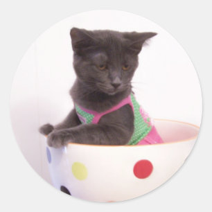 etiqueta do gatinho dos arys