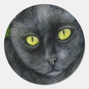 Etiqueta do gato preto