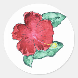 Etiqueta do hibiscus