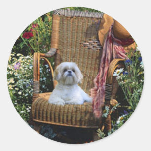 Etiqueta do jardim de Shih Tzu