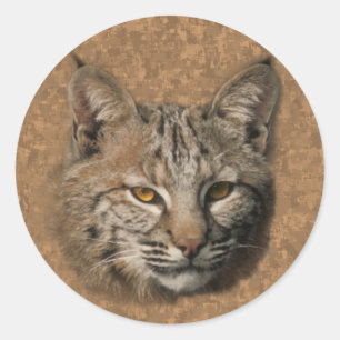 Etiqueta do lince