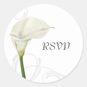 Etiqueta do lírio de Calla