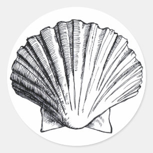 Etiqueta do Mar Negro Shell