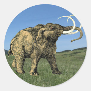 Etiqueta do Mastodon