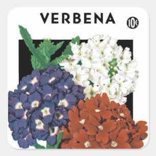 Etiqueta do pacote da semente do Verbena