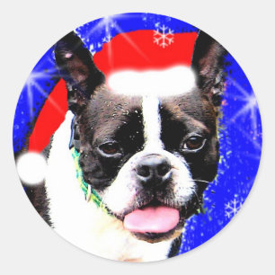 Etiqueta do papai noel de Boston Terrier