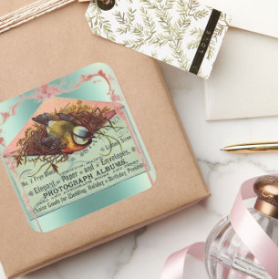 Etiqueta do pássaro do assentamento do vintage