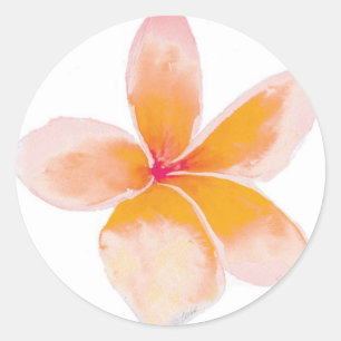 Etiqueta do Plumeria