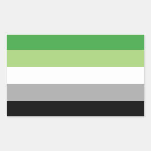 Etiqueta do retângulo do orgulho de Aromantic