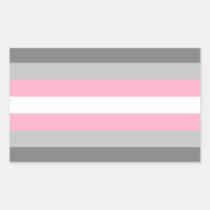 Etiqueta do retângulo do orgulho de Demigirl