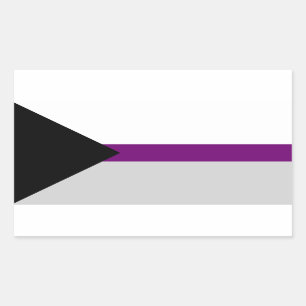 Etiqueta do retângulo do orgulho de Demisexual