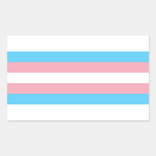 Etiqueta do retângulo do orgulho do Transgender