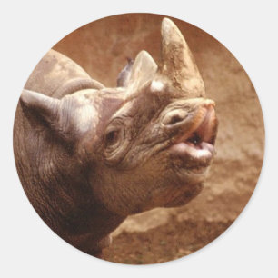 Etiqueta do rinoceronte