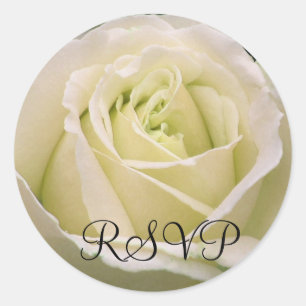 Etiqueta do rosa branco