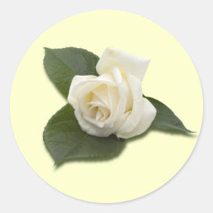 Etiqueta do rosa branco