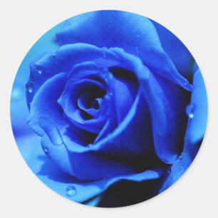 Etiqueta do rosa do azul