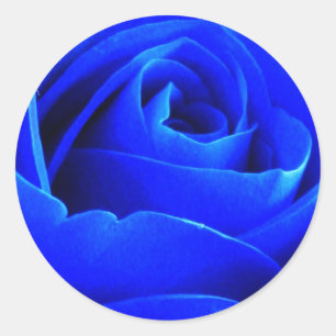 Etiqueta do rosa do azul