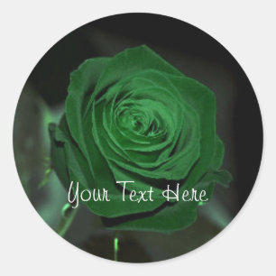 Etiqueta do rosa verde