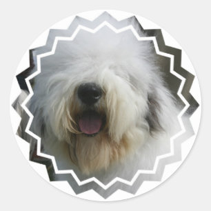 Etiqueta do Sheepdog