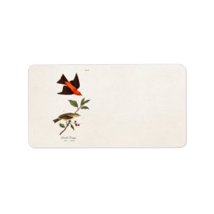 Etiqueta Do vintage do Tanager dos 1800s do pássaro