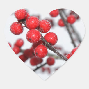 Etiqueta do Winterberry