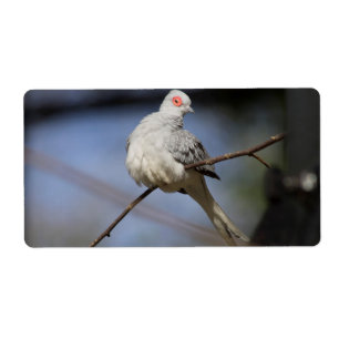 Etiqueta Doce Bela Doente de Diamante