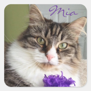 Etiqueta doce de Mia