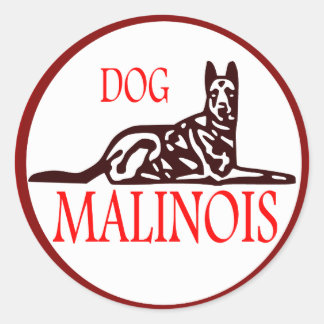 etiqueta Dog malinois