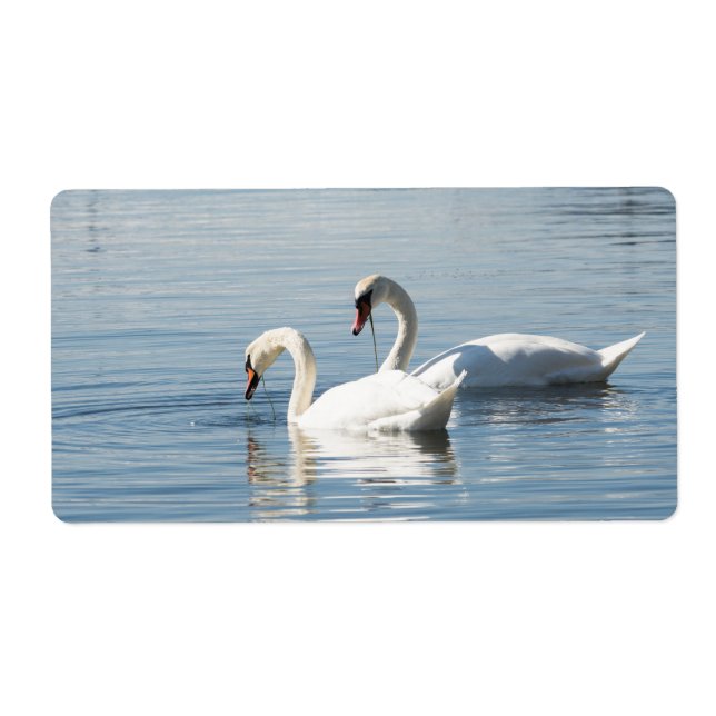 Etiqueta Dois cisnes (Frente)