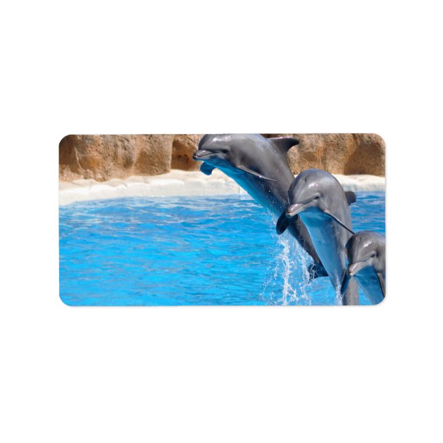 ETIQUETA DOLPHIN (Frente)