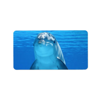 Etiqueta Dolphin Water Beach Tropical Paradise Fish Island