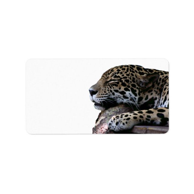 Etiqueta Dormindo Jaguar sem fundo (Frente)