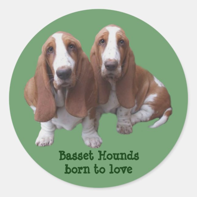 Etiqueta dos amigos de Basset Hound (Frente)