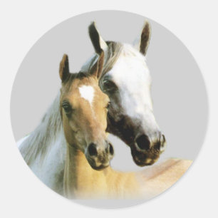 Etiqueta dos amigos do cavalo