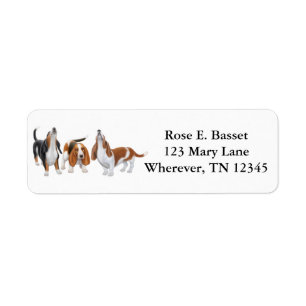 Etiqueta dos cães de Basset do canto