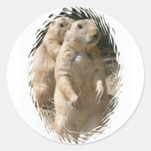 Etiqueta dos cães de pradaria