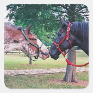 Etiqueta dos cavalos de esboço