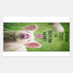 Etiqueta dos direitos dos animais