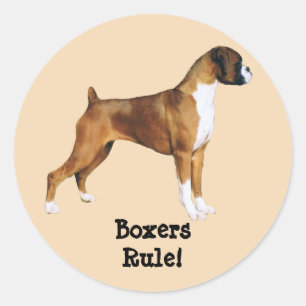 Etiqueta dos pugilistas