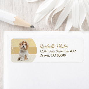 Etiqueta Dourado Stripe Shih-Tzu Endereço de Retorno de Cão
