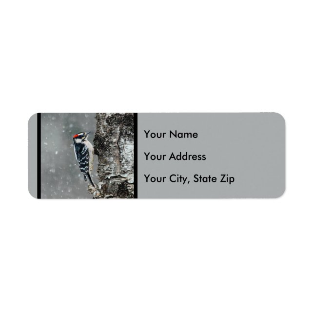 Etiqueta Downy Woodpecker em Neve - Foto Original (Frente)