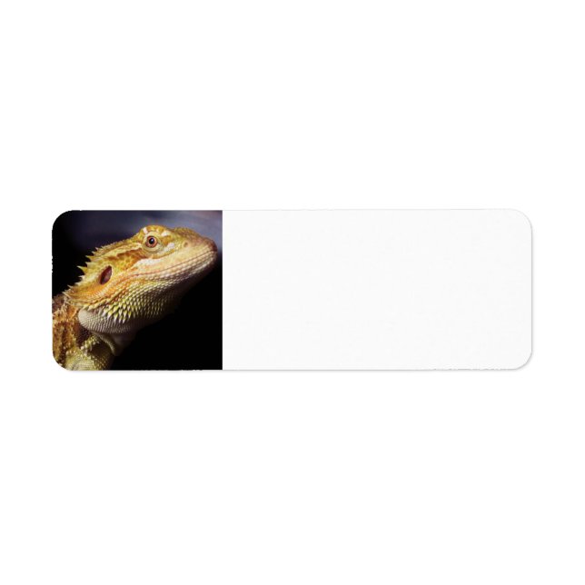 Etiqueta Dragão com bordo Cabeça 2 (Frente)