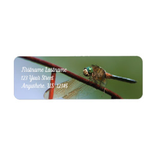 Etiqueta Dragonfly On Wire Fence Nature Address